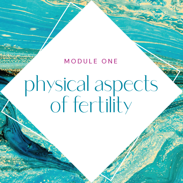 YB Fertility Module Icons V01-01