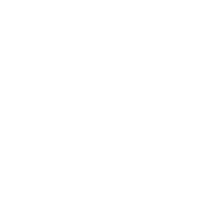 eCourse Logo 12 - BabyRocks White